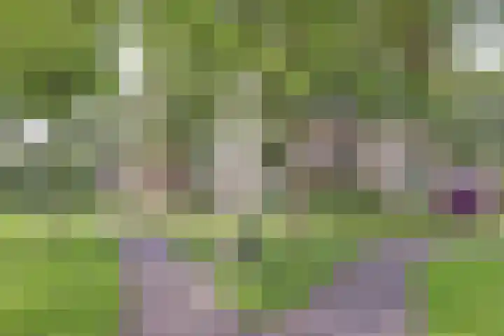 Jan van Ruusbroeclaan 73 Oegstgeest thumbnail 35