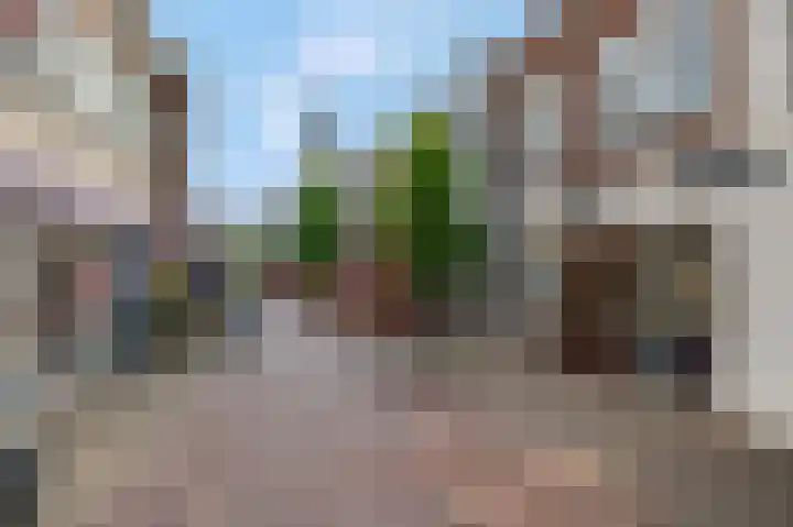 Jan van Schaffelaarstraat 6 A Barneveld thumbnail 31