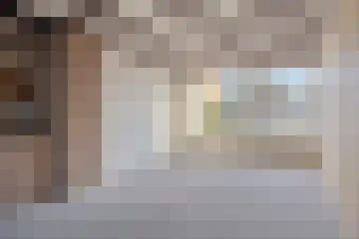 Jan van Schoonvorststraat 7 Budel thumbnail 10