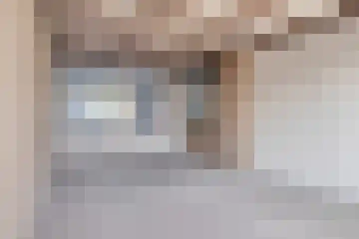Jan van Schoonvorststraat 7 Budel thumbnail 11