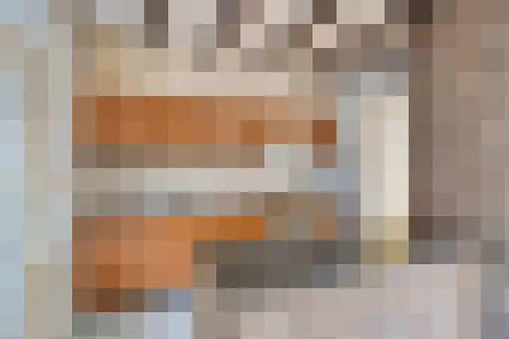 Jan van Schoonvorststraat 7 Budel thumbnail 13
