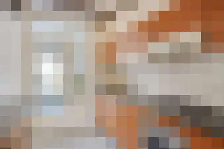 Jan van Schoonvorststraat 7 Budel thumbnail 14