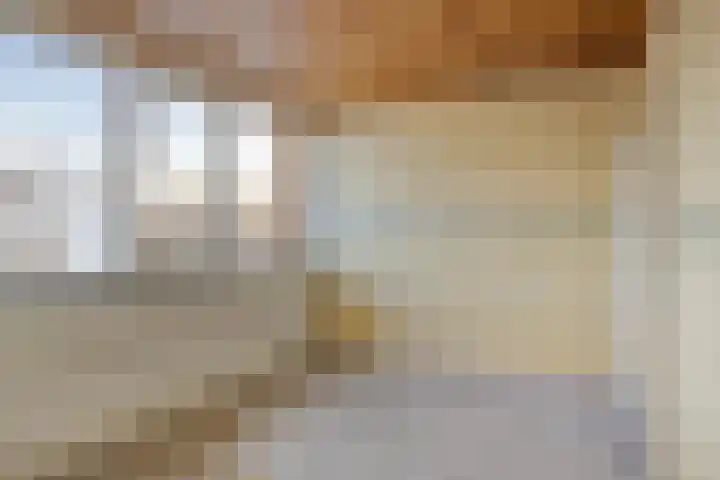 Jan van Schoonvorststraat 7 Budel thumbnail 20