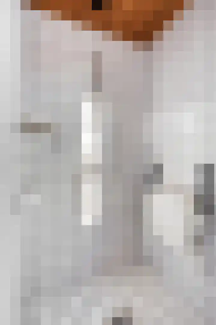 Jan van Schoonvorststraat 7 Budel thumbnail 23