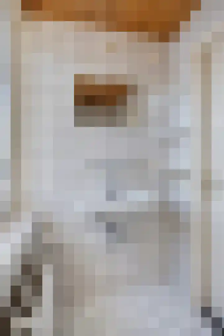 Jan van Schoonvorststraat 7 Budel thumbnail 24