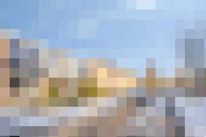 Jan van Schoonvorststraat 7 Budel thumbnail 4