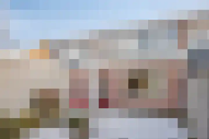 Jan van Schoonvorststraat 7 Budel thumbnail 6