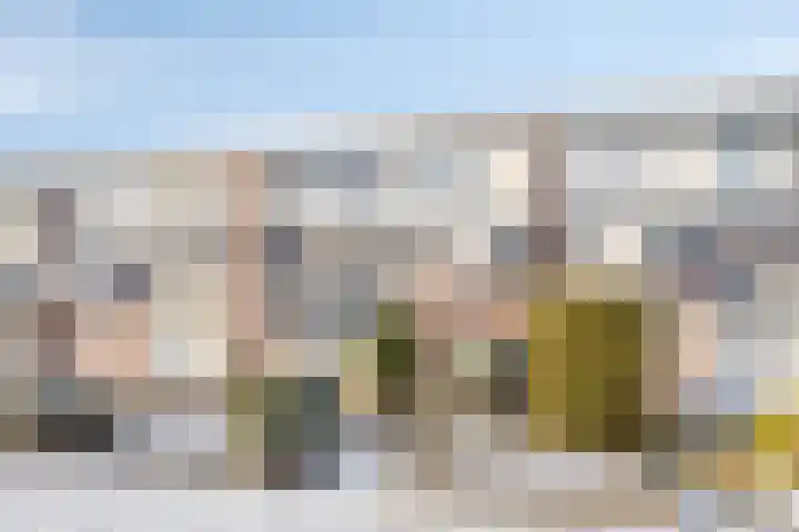 Jan van Schoonvorststraat 7 Budel thumbnail 7