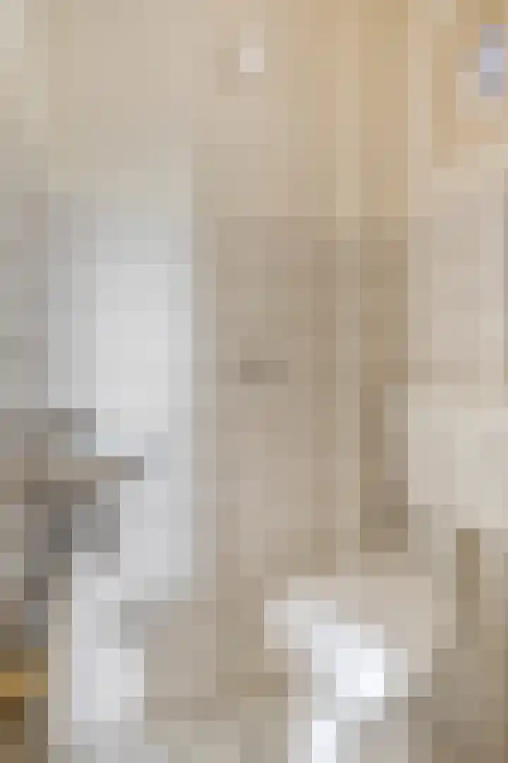 Jan van Schoonvorststraat 7 Budel thumbnail 9
