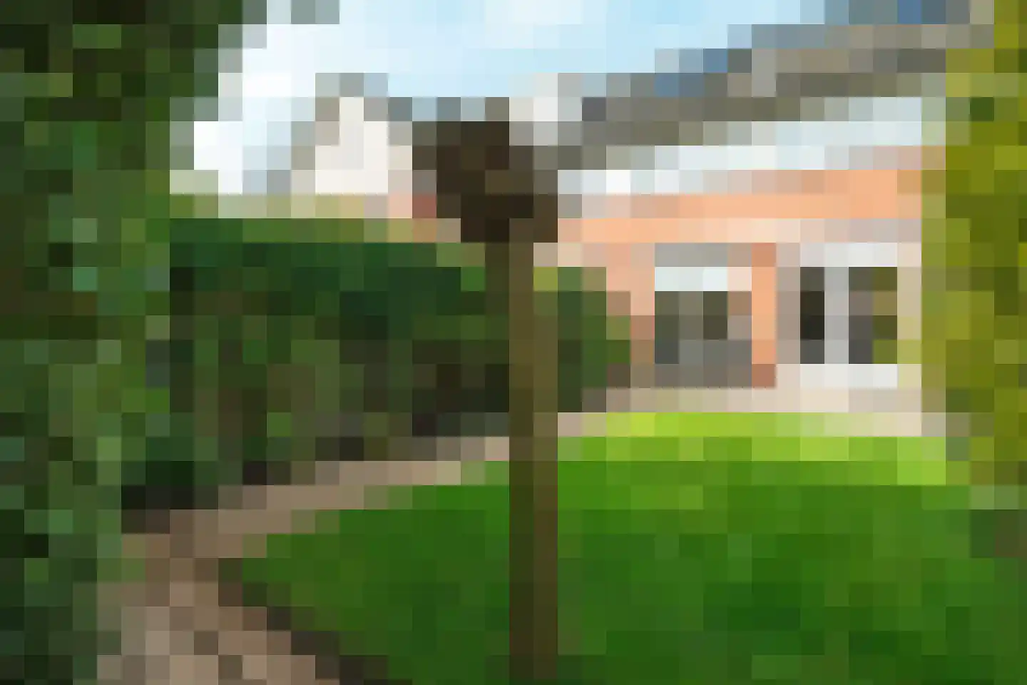 Jan van Scorelhage 51 Nieuwegein thumbnail 24