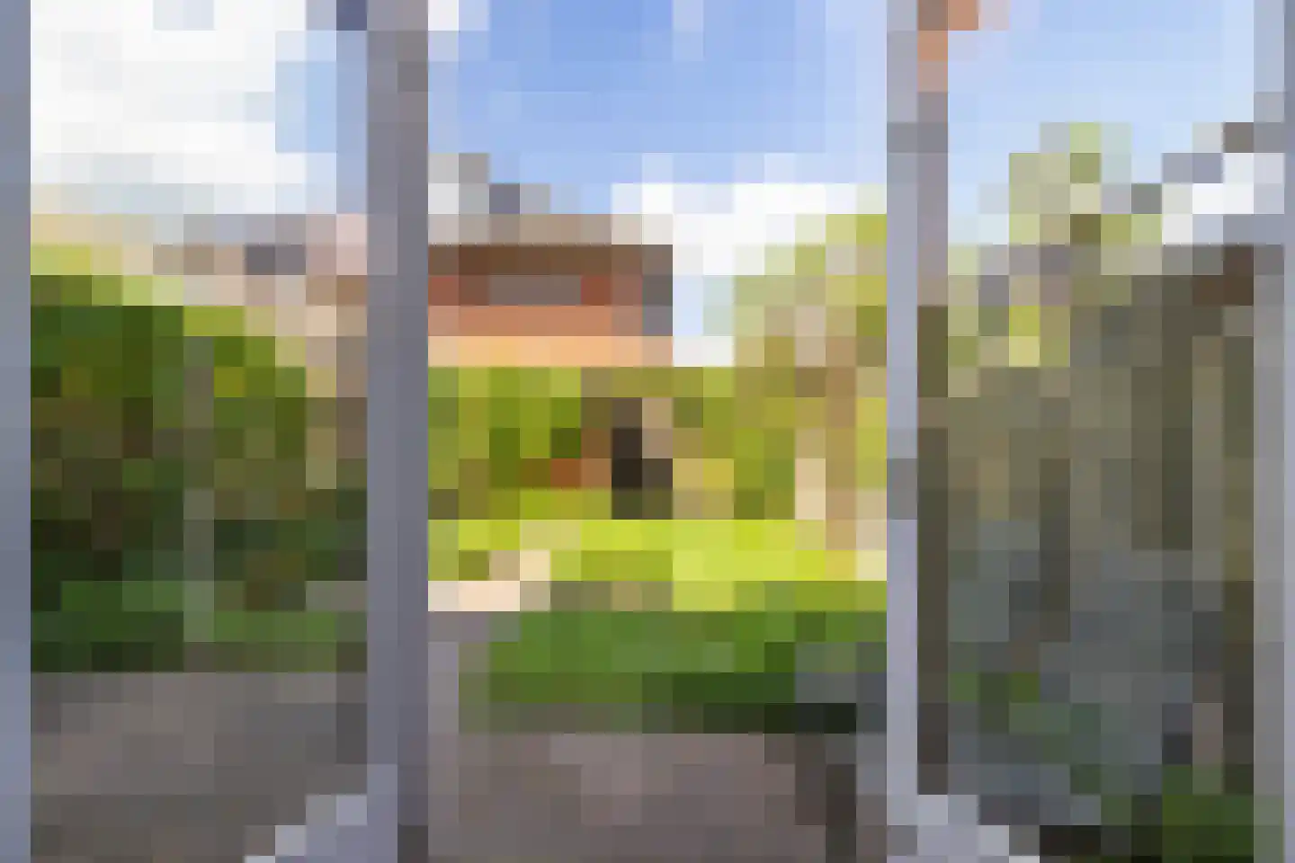 Jan van Scorelhage 6 Nieuwegein thumbnail 31