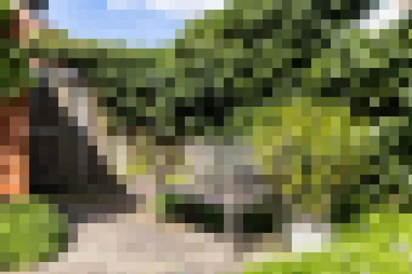 Jan van Scorelhage 6 Nieuwegein thumbnail 34