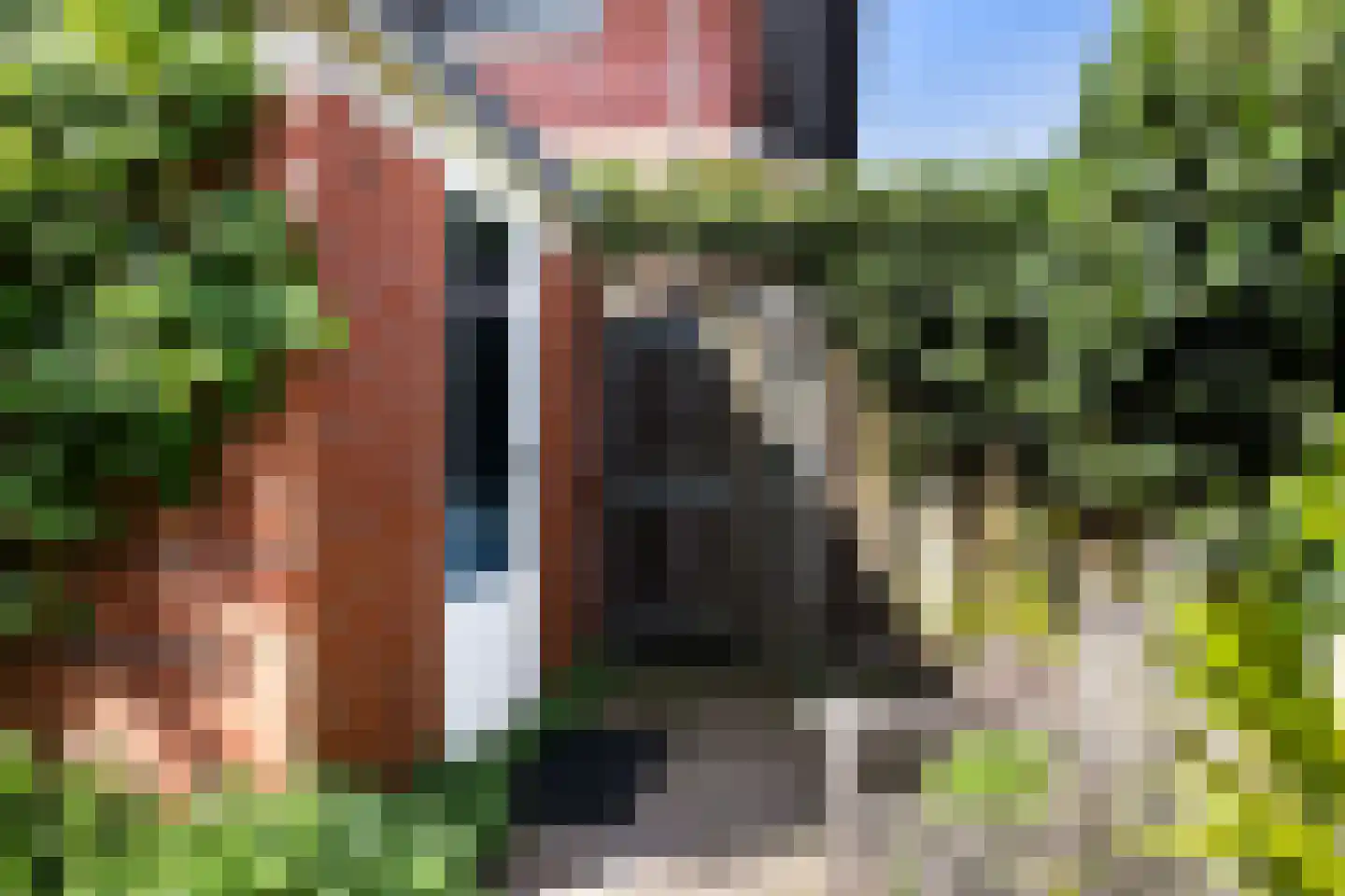 Jan van Scorelhage 6 Nieuwegein thumbnail 35