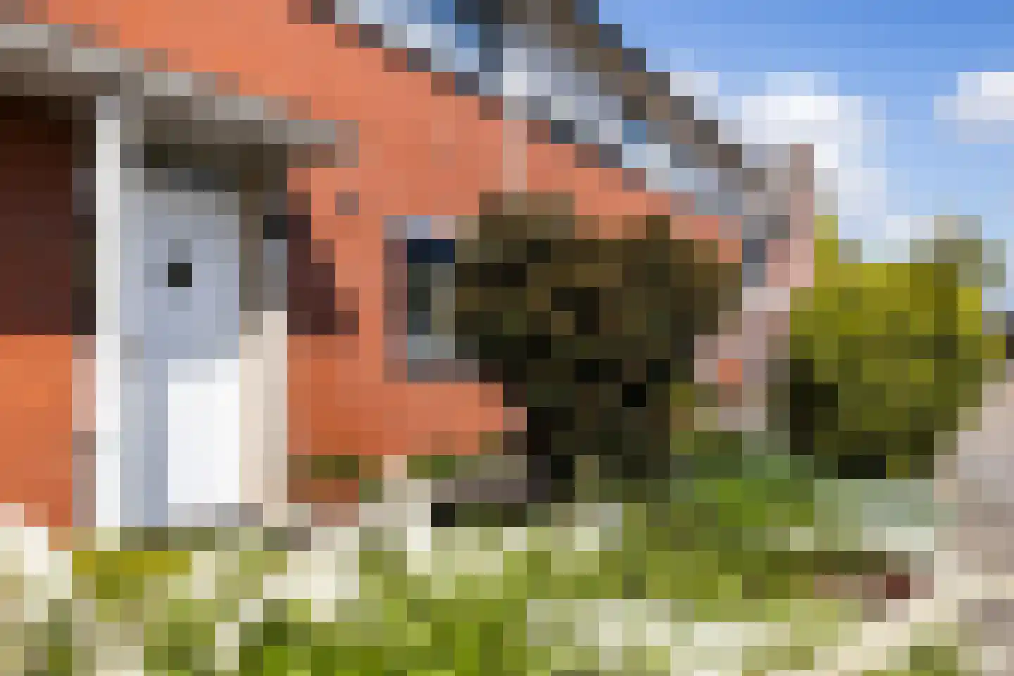 Jan van Scorelhage 6 Nieuwegein thumbnail 39