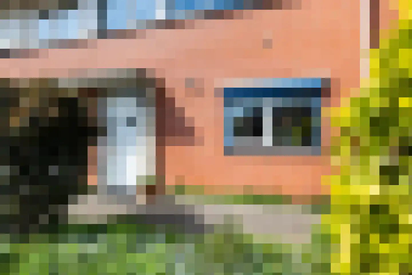Jan van Scorelhage 6 Nieuwegein thumbnail 6