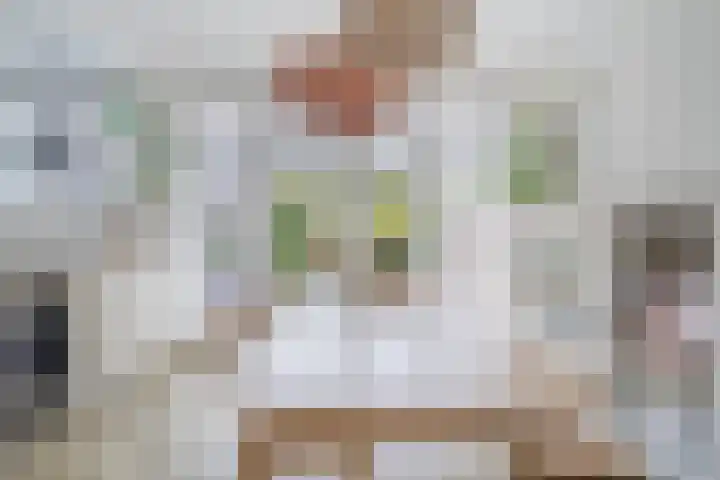 Jan van Scorelkade 11 Alkmaar thumbnail 16