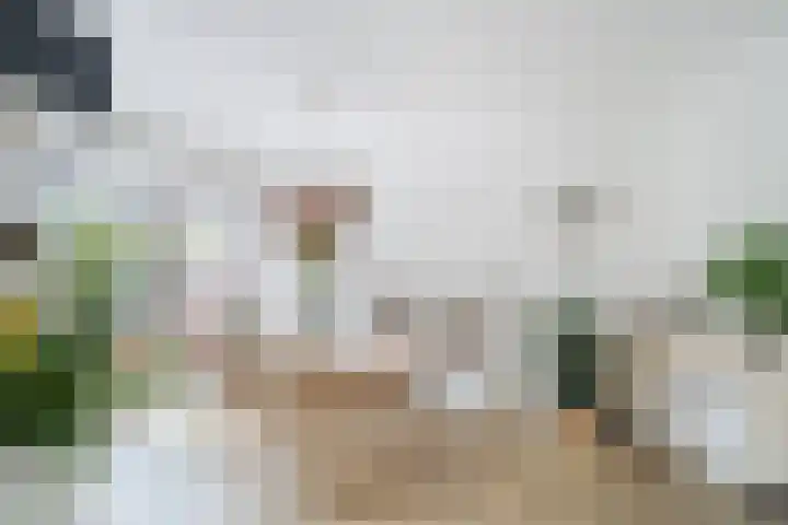 Jan van Scorelkade 11 Alkmaar thumbnail 17