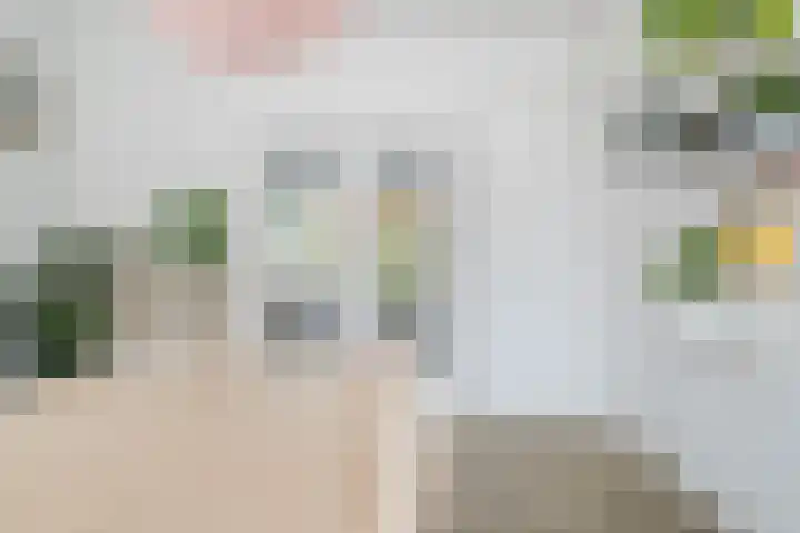 Jan van Scorelkade 11 Alkmaar thumbnail 18