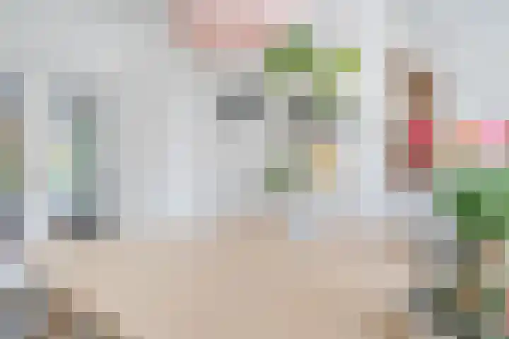 Jan van Scorelkade 11 Alkmaar thumbnail 19