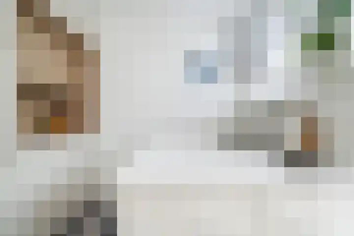 Jan van Scorelkade 11 Alkmaar thumbnail 21