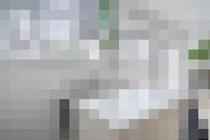 Jan van Scorelkade 11 Alkmaar thumbnail 22
