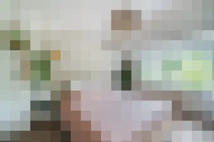 Jan van Scorelkade 11 Alkmaar thumbnail 27