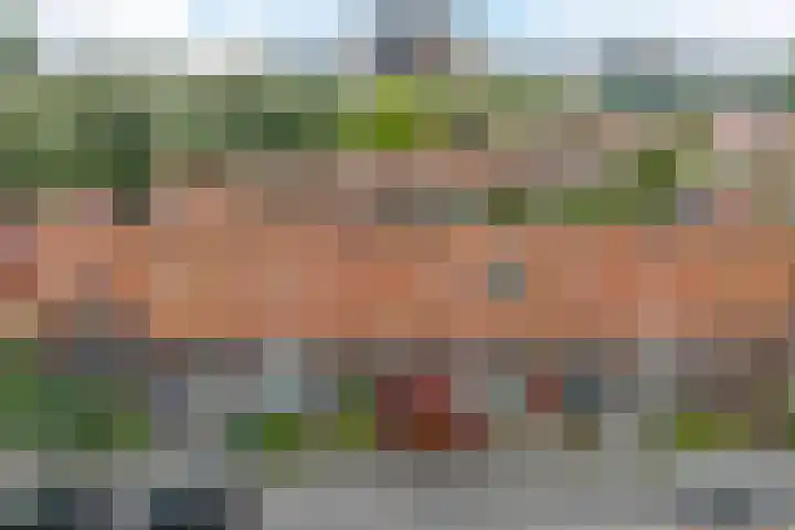 Jan van Scorelkade 11 Alkmaar thumbnail 4