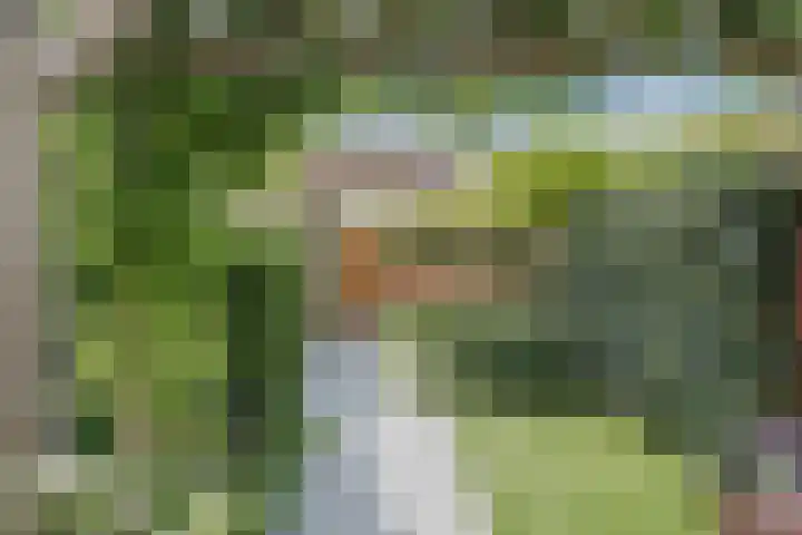 Jan van Scorelkade 11 Alkmaar thumbnail 44