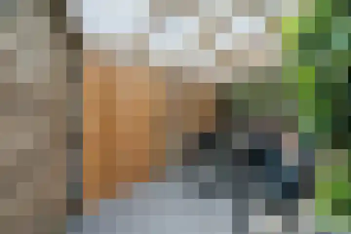 Jan van Scorelkade 11 Alkmaar thumbnail 47
