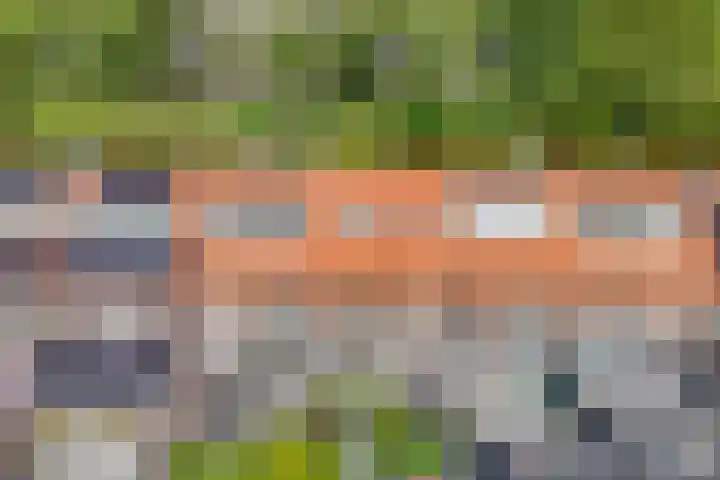 Jan van Scorelkade 11 Alkmaar thumbnail 50