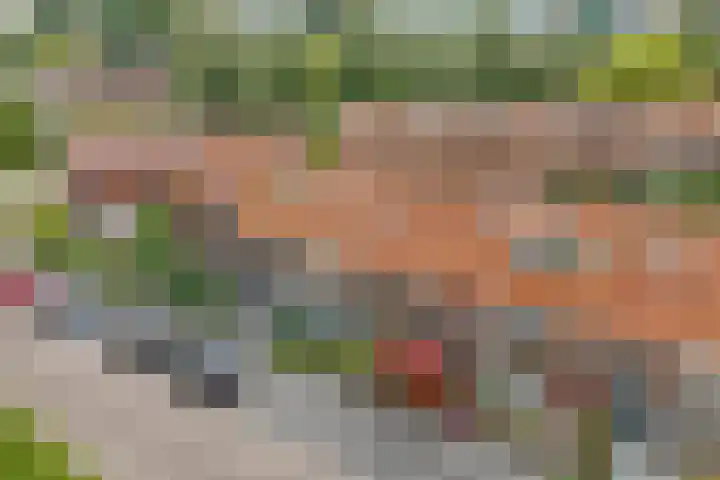Jan van Scorelkade 11 Alkmaar thumbnail 51