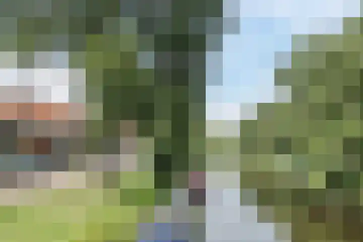 Jan van Scorelkade 11 Alkmaar thumbnail 52