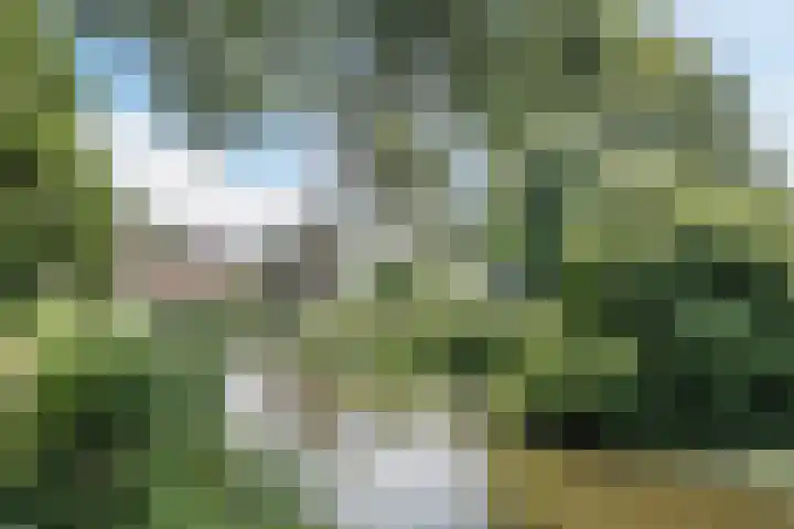 Jan van Scorelkade 11 Alkmaar thumbnail 53