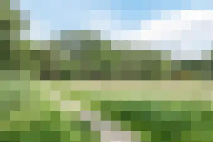 Jan van Scorelkade 11 Alkmaar thumbnail 54