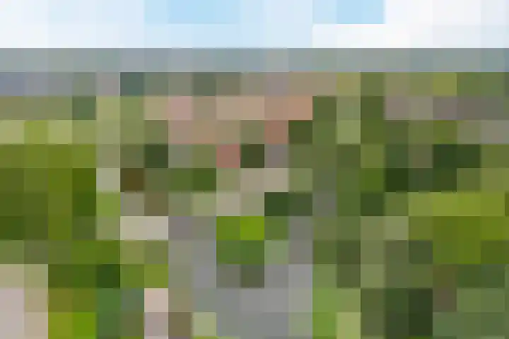 Jan van Scorelkade 11 Alkmaar thumbnail 55