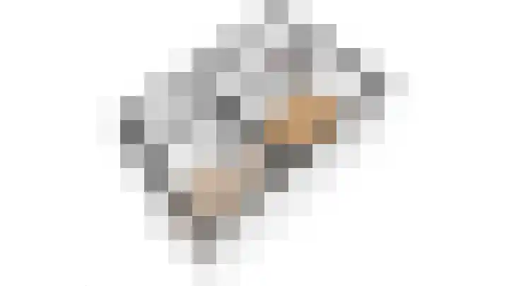 Jan van Scorelkade 11 Alkmaar thumbnail 57