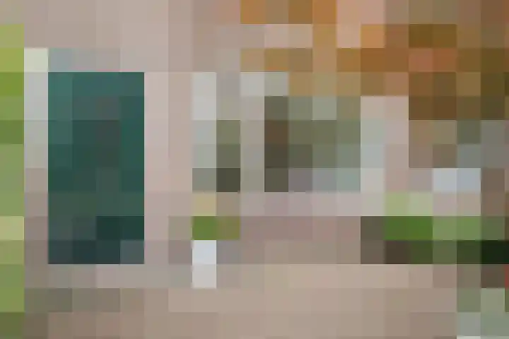 Jan van Scorelkade 11 Alkmaar thumbnail 6
