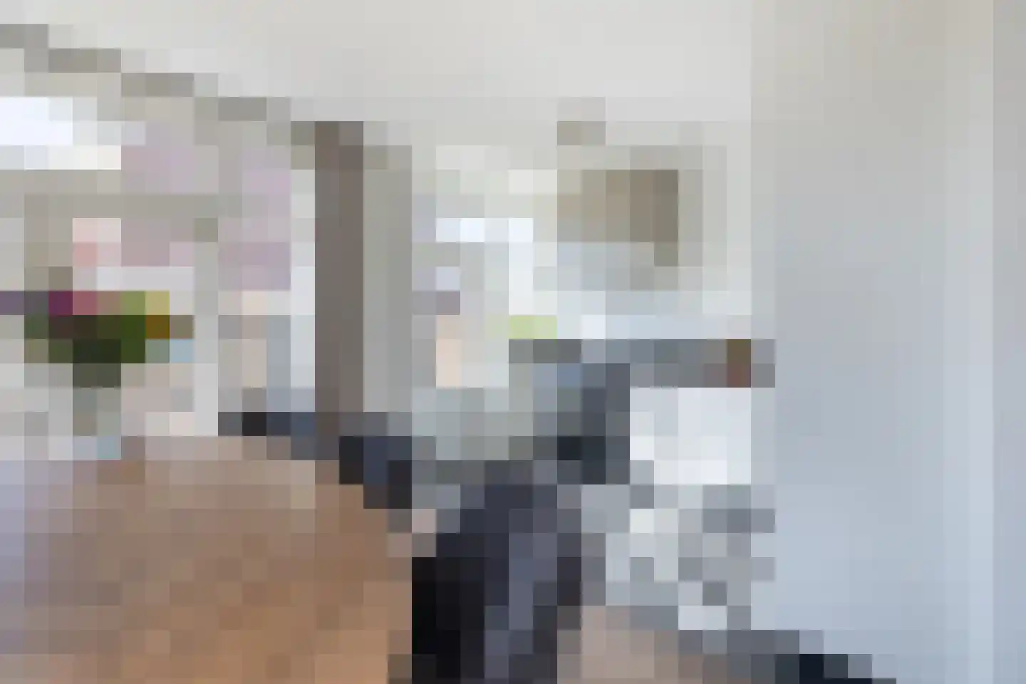 Jan van Scorelkade 37 Alkmaar thumbnail 16