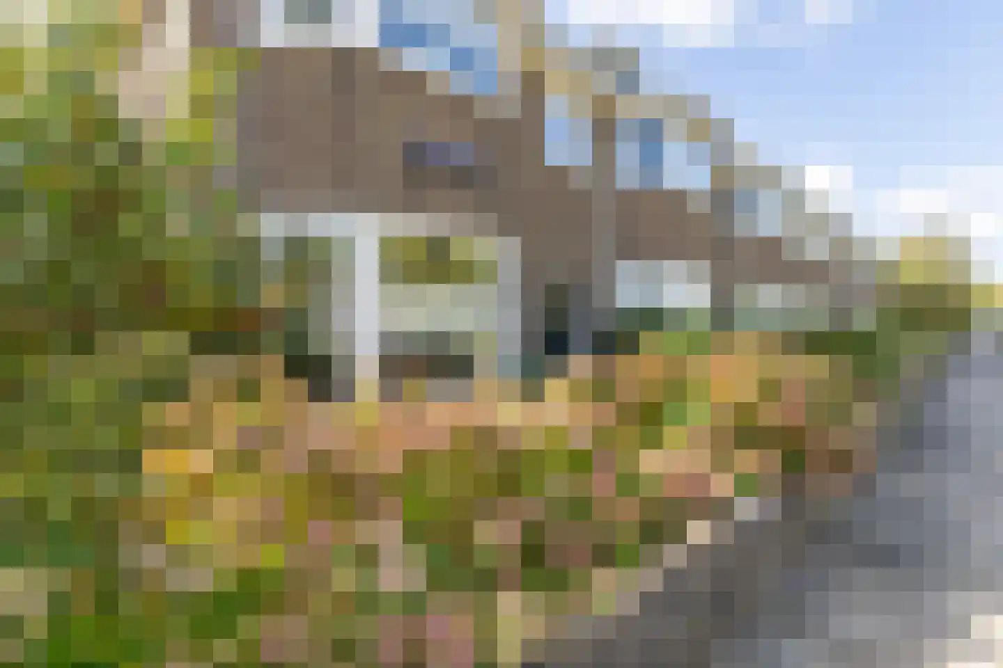 Jan van Scorelkade 37 Alkmaar thumbnail 4