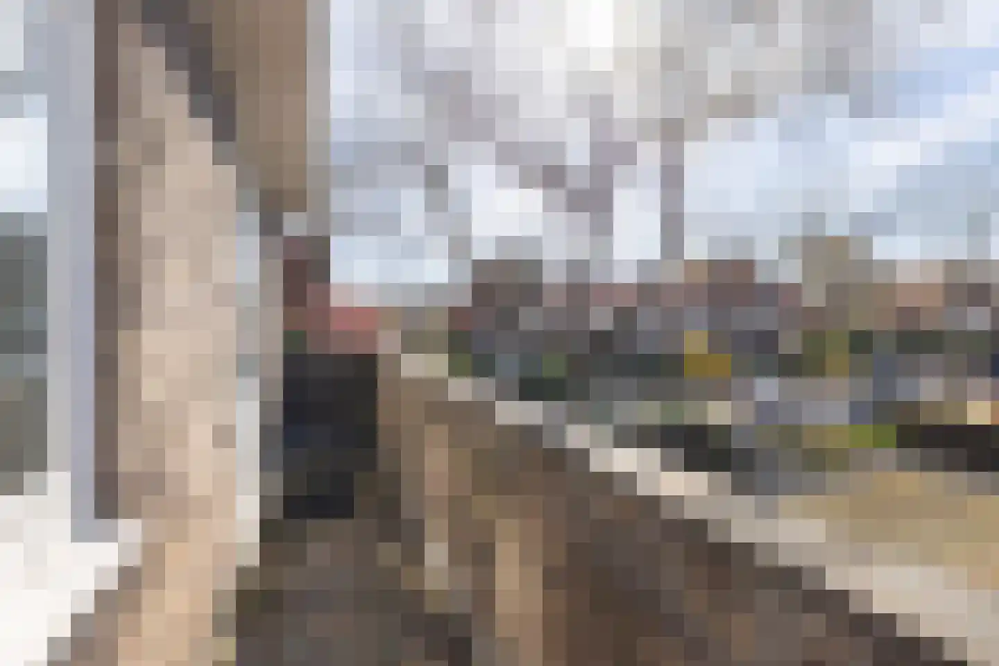 Jan van Scorelkade 37 Alkmaar thumbnail 44