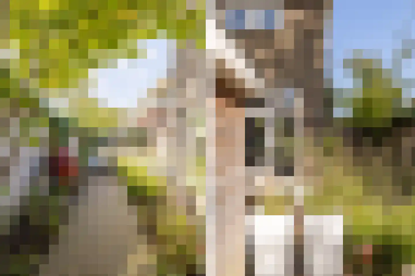 Jan van Scorelkade 37 Alkmaar thumbnail 48