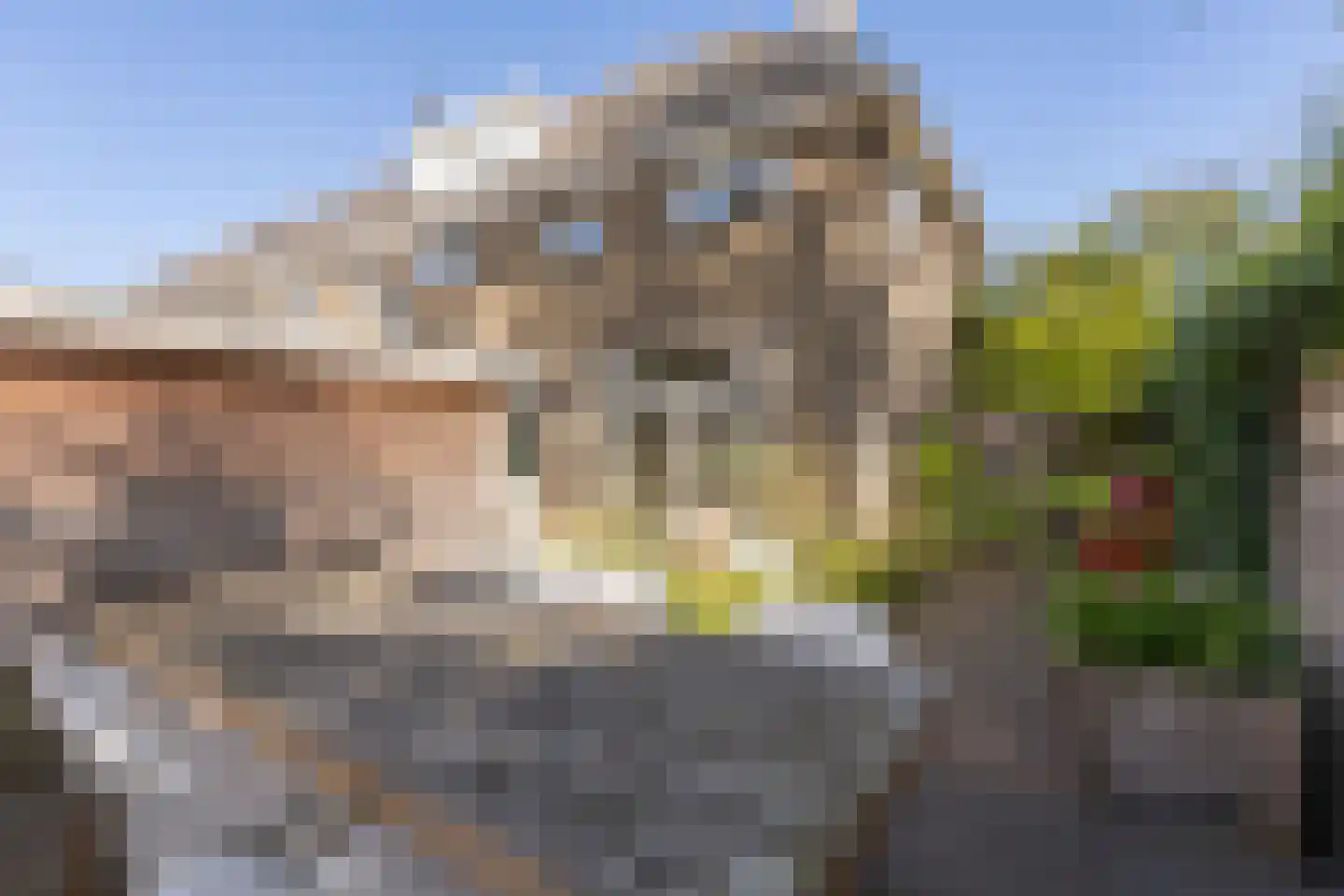 Jan van Scorelkade 37 Alkmaar thumbnail 52