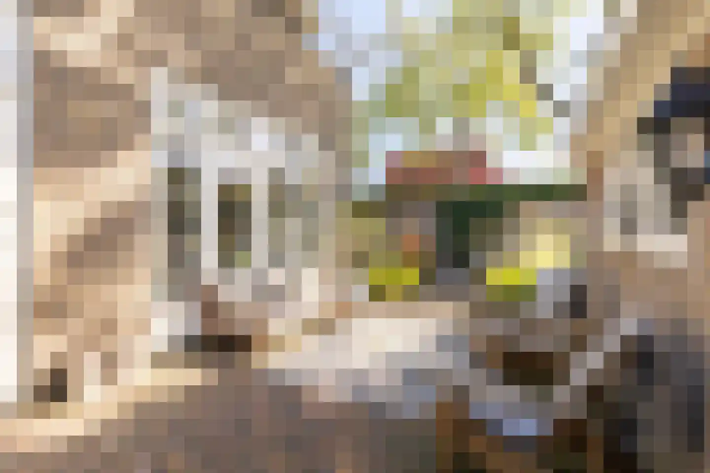 Jan van Scorelkade 37 Alkmaar thumbnail 54