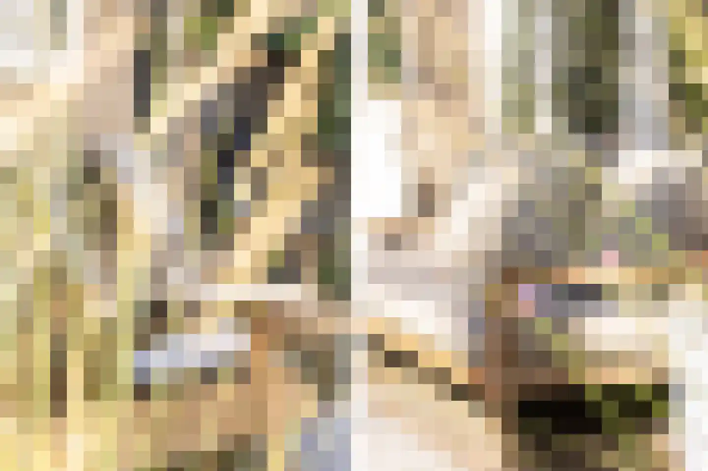 Jan van Scorelkade 37 Alkmaar thumbnail 56