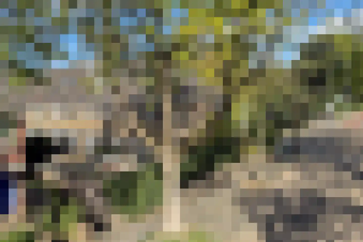 Jan van Scorelkade 37 Alkmaar thumbnail 61