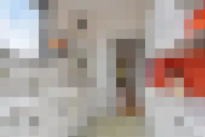 Jan van Scorelkade 43 Alkmaar thumbnail 13