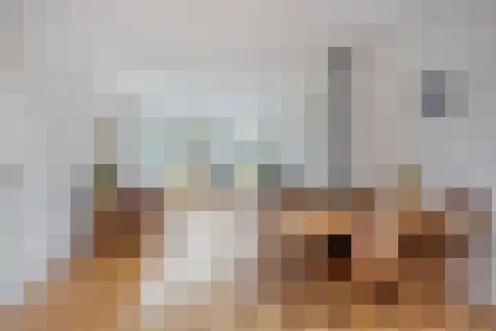 Jan van Scorelkade 43 Alkmaar thumbnail 16