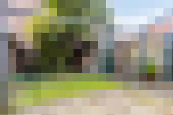 Jan van Scorelkade 43 Alkmaar thumbnail 27