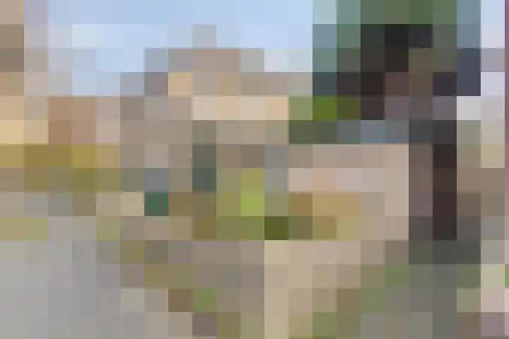 Jan van Scorelkade 43 Alkmaar thumbnail 28