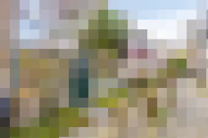 Jan van Scorelkade 43 Alkmaar thumbnail 29